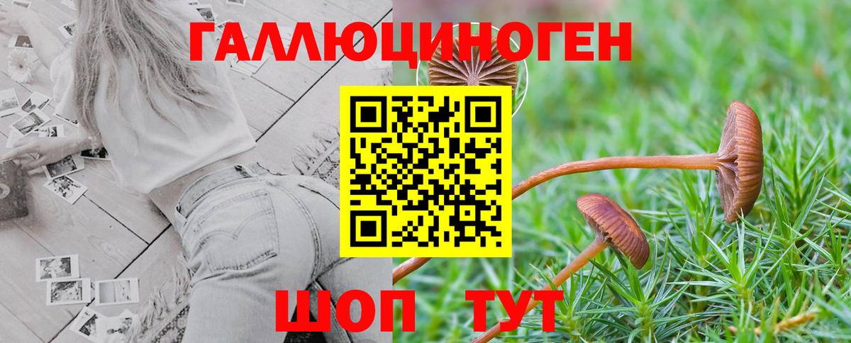 магазин продажи   Вход с VPN  Барабинск  Галлюциногенные грибы Psilocybe 
